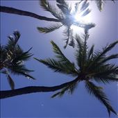 by rockywildman, Views[226]