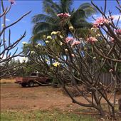 by rockywildman, Views[243]