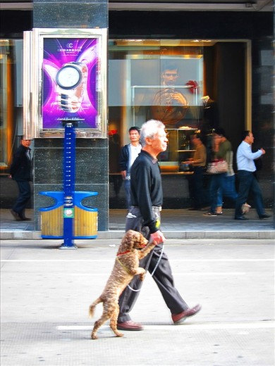 Xiamen is known for its clean environment amidst its progress. This photo shows local and his pet enjoy strolling in one of the street in Xiamen.