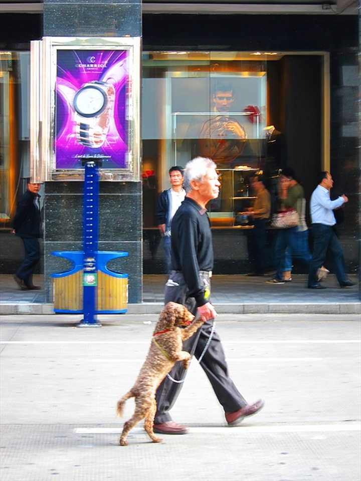 Xiamen is known for its clean environment amidst its progress. This photo shows local and his pet enjoy strolling in one of the street in Xiamen.