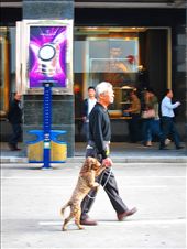 Xiamen is known for its clean environment amidst its progress. This photo shows local and his pet enjoy strolling in one of the street in Xiamen.: by rodbellezajr, Views[352]