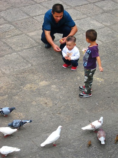 Tourist and locals enjoy clean park, street, and costal area in Xiamen. This photo shows father and son enjoying family bounding in one of the park in Xiamen.