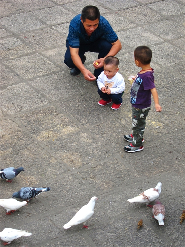 Tourist and locals enjoy clean park, street, and costal area in Xiamen. This photo shows father and son enjoying family bounding in one of the park in Xiamen.