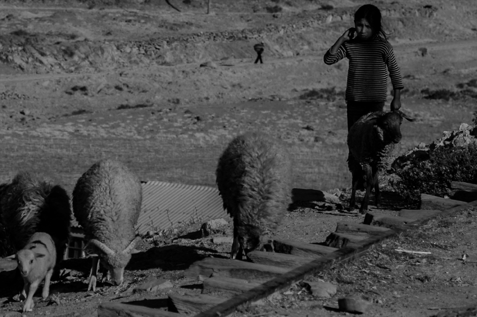 As the day ends, and her parents spent the day working with the street market is this young shepherd job take the sheep back to barn. The market not only changes the buyers and sellers Sunday, but reflects in the entire community behavior.