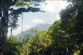 A view of the Colombian rainforest: by rodloboz, Views[308]