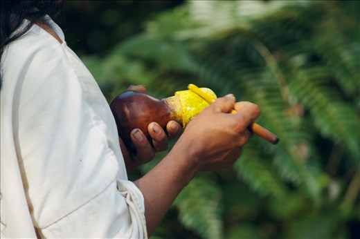 Kogui man using his poporo