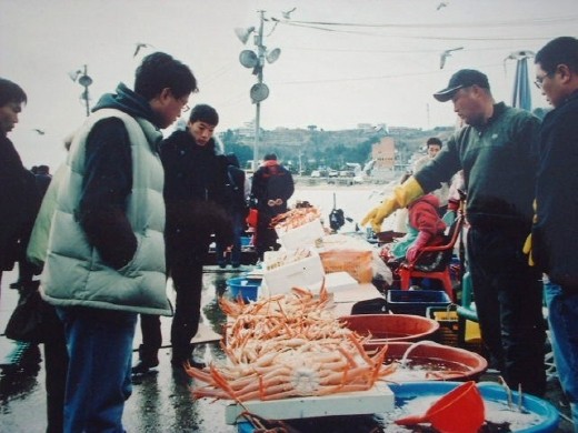 haggling crab prices-Ganggu Harbour