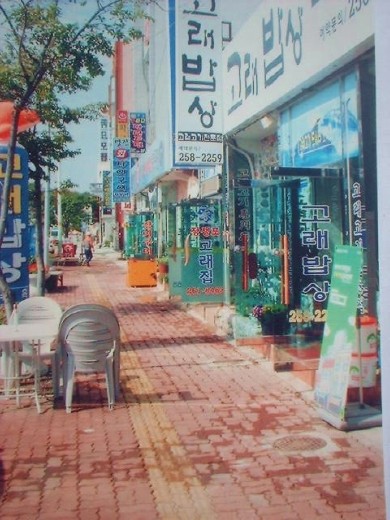 whale meat restaurant row across the street from the whale museum
