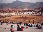 bull fighting ring: by rogerinkorea, Views[283]