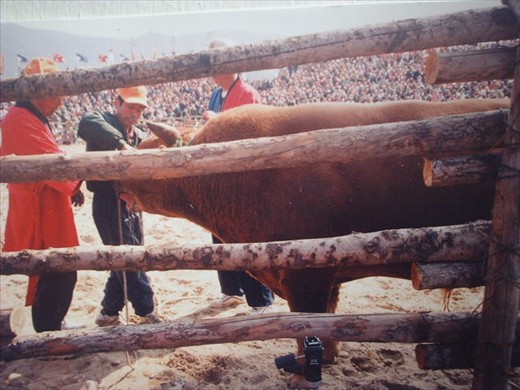 tired and drooling, defeated gets a rest