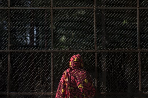 On the other side where supposedly they belong, a visitor at Dhaka Zoo