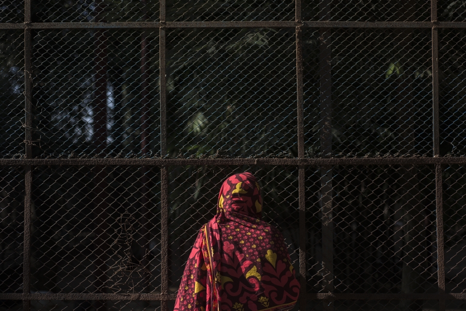 On the other side where supposedly they belong, a visitor at Dhaka Zoo