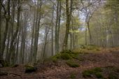Pilgrims have been walking the Camino de Santiago for centuries, for religious, spiritual and personal reasons. The path of enlightenment and a sense of clarity in daily life is something that many aim to be rewarded with after their journey.: by rohanjware, Views[361]