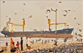 Wisdom ship got stuck at the juhu beach in Mumbai.: by rohitgautamphotography, Views[610]
