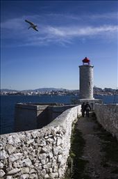 searching for the food: by rohitjy, Views[188]