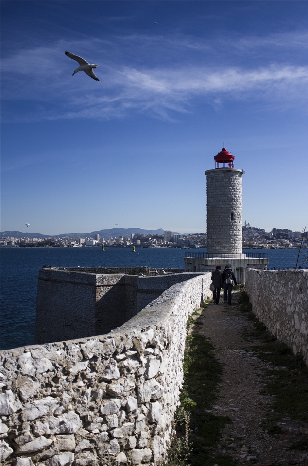 Everyone in Search of food