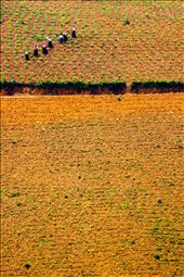 by roitan, Views[197]