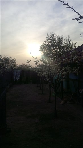 My grandma's house in Stolnici