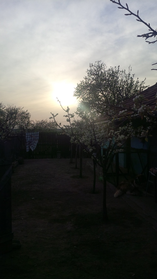 My grandma's house in Stolnici