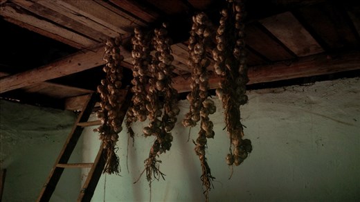 A typical garlic twist made by my grandma