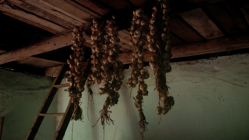 A typical garlic twist made by my grandma