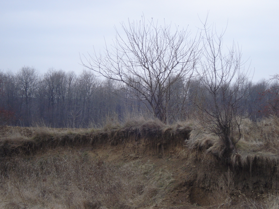 Stolnici village surroundings