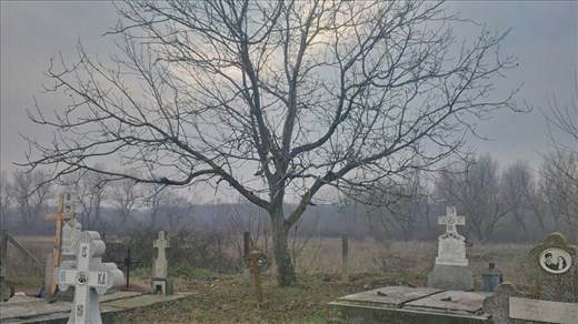 Stolnici cemetery