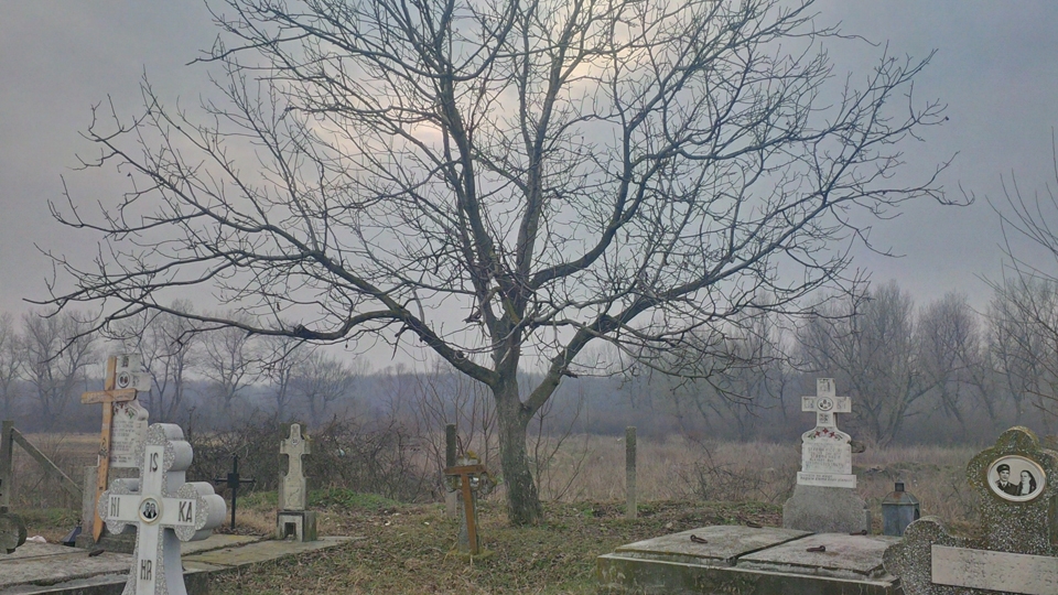 Stolnici cemetery