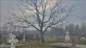 Stolnici cemetery: by romania, Views[208]