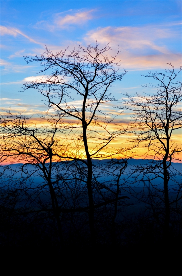 this is quite funny,took these shot,after my old brother said to me:
