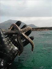 by ronanc, Views[166]