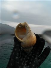 by ronanc, Views[162]