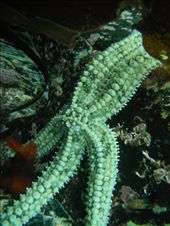 by ronanc, Views[147]