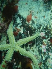 by ronanc, Views[163]