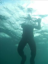 by ronanc, Views[158]