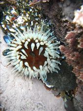 by ronanc, Views[137]