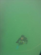 by ronanc, Views[139]