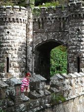 by ronanc, Views[133]