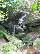 by ronanc, Views[175]