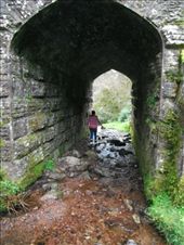 by ronanc, Views[234]