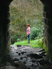 by ronanc, Views[251]