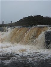 by ronanc, Views[144]