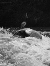 by ronanc, Views[213]