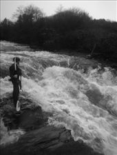 by ronanc, Views[196]