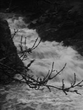 by ronanc, Views[149]