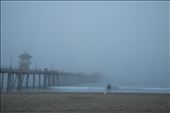 Foggy Laguna Beach Pier morning with surfers lining up for the perfect wave: by ronvaliente, Views[199]