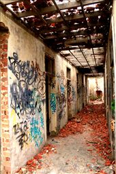 Since its closure in 1991 the Buildings of 