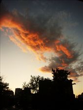 by rory2034, Views[243]