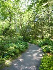 by rory2034, Views[324]