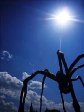 by rory2034, Views[293]